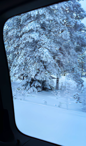 开心捏 再过一个月我一年的努力就可以白费啦  嘻嘻 还好没有努力