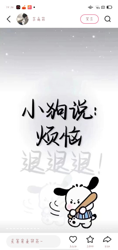 好看的壁纸