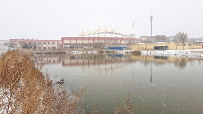 下雪了！我的家乡港城今年迎来了第二场雪。大雪纷飞，湖水，建筑，停车场，植被；飘雪弥漫着天空，覆盖着大地一片雪白。体验生活，用时拍摄，挑战自我。