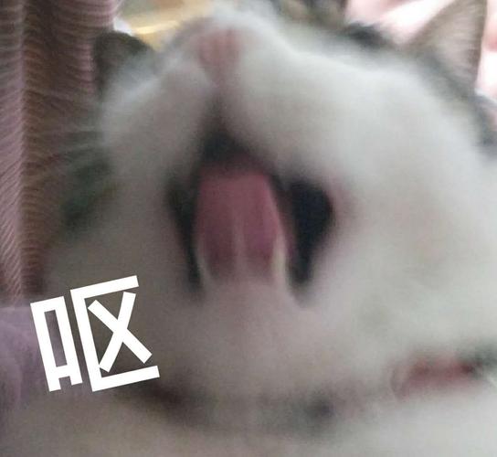 表情包 来源：百度
侵删