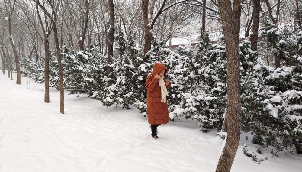 下雪了！我的家乡港城今年迎来了第二场雪。大雪纷飞，湖水，建筑，停车场，植被；飘雪弥漫着天空，覆盖着大地一片雪白。体验生活，用时拍摄，挑战自我。