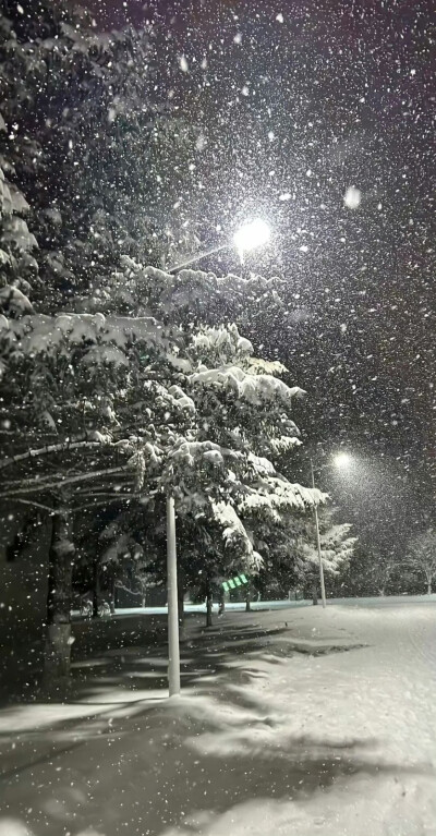 雪