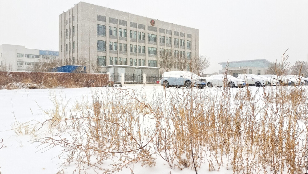 下雪了！我的家乡港城今年迎来了第二场雪。大雪纷飞，湖水，建筑，停车场，植被；飘雪弥漫着天空，覆盖着大地一片雪白。体验生活，用时拍摄，挑战自我。