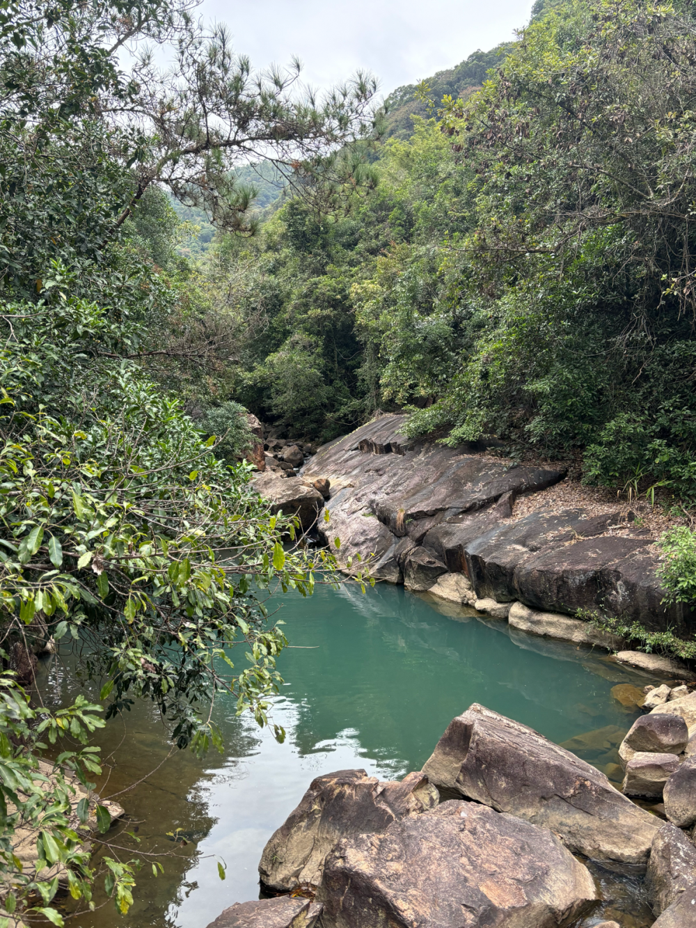 风景很美