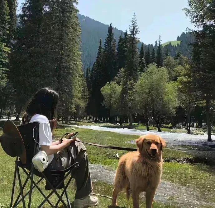 女头 头像 背景