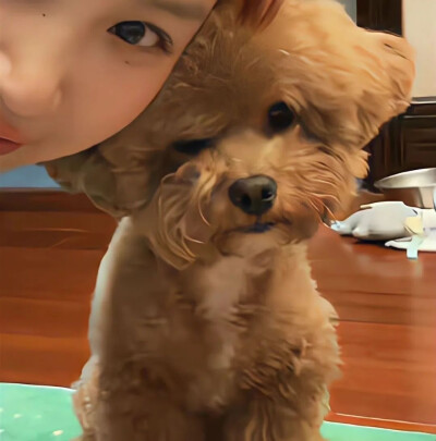 情头-对象不是人系列