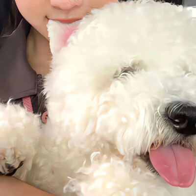 情头-对象不是人系列