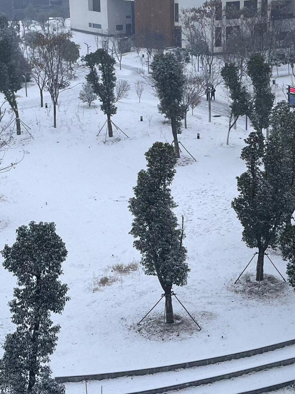 在雪校