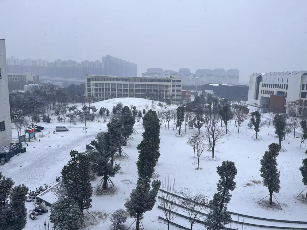 在雪校