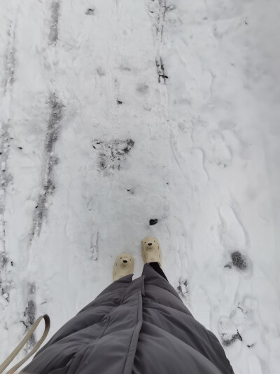 在雪校