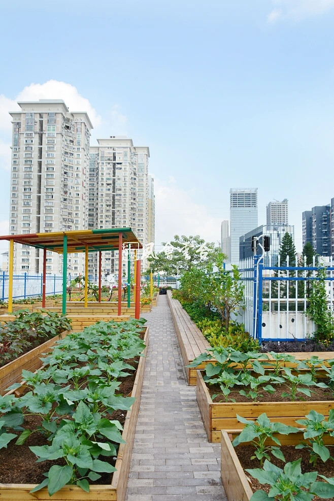 深圳市竹园小学采用装配式屋顶绿化技术，打造屋顶生态农场。项目通过将屋顶空间分割成七个不同的主题区，提供了一个农业科普教育、休闲娱乐的活动场所。该技术适用于既有建筑屋顶的节能改造，比传统施工方法节约75%工时，方便快捷，维护简单。同时，采用了模块化设计，具有良好的排水、灌溉、通风功能，使用寿命至少30年。