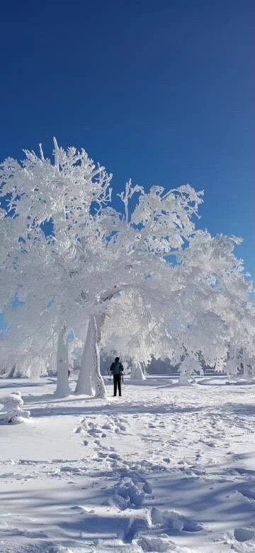  |女生壁纸
“大雪纷纷  爱意升温” 