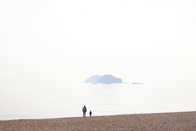 海岸珍珠白