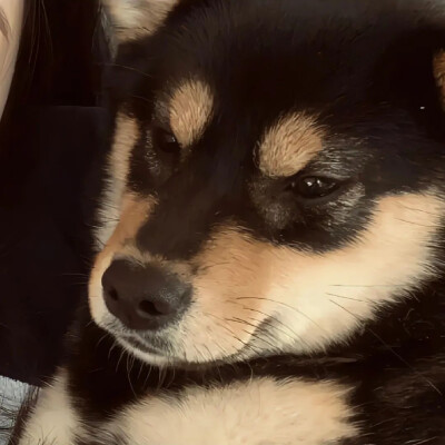 情头-对象不是人系列