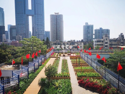 深圳市竹园小学采用装配式屋顶绿化技术，打造屋顶生态农场。项目通过将屋顶空间分割成七个不同的主题区，提供了一个农业科普教育、休闲娱乐的活动场所。该技术适用于既有建筑屋顶的节能改造，比传统施工方法节约75%…