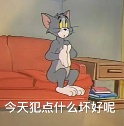 猫和老鼠表情包