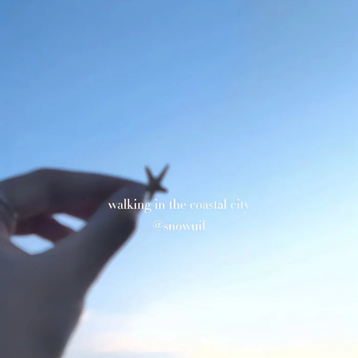 素材&背景图（杂）