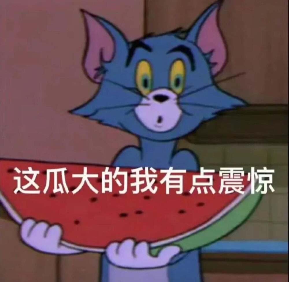 猫和老鼠表情包