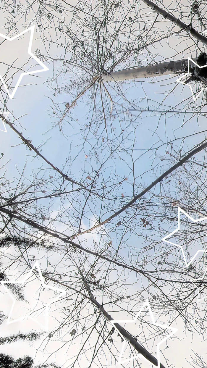 素材&背景图（杂）