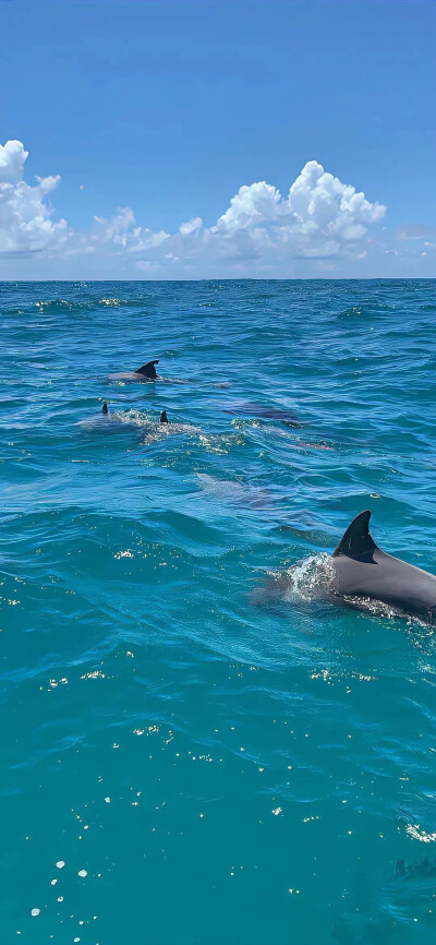 朋友圈背景图 蓝色壁纸 大海 蓝天白云#图片收集