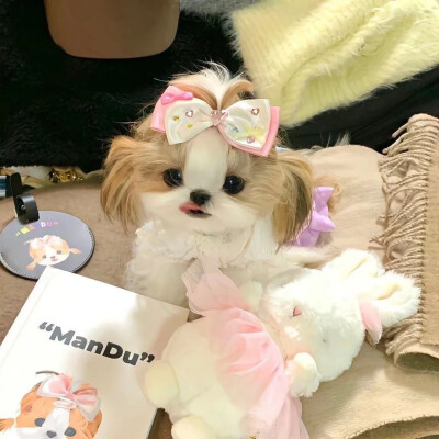 小清新朋友圈背景图