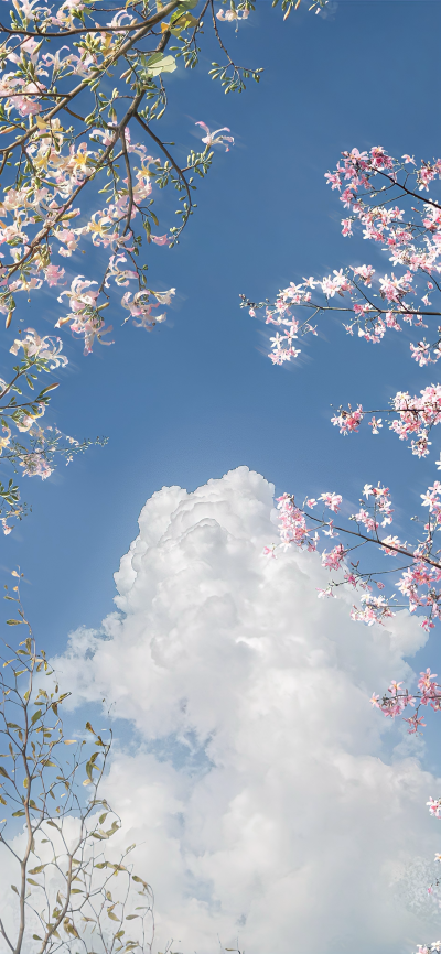 ▸花壁纸
"晚霞与玫瑰共绘浪漫"