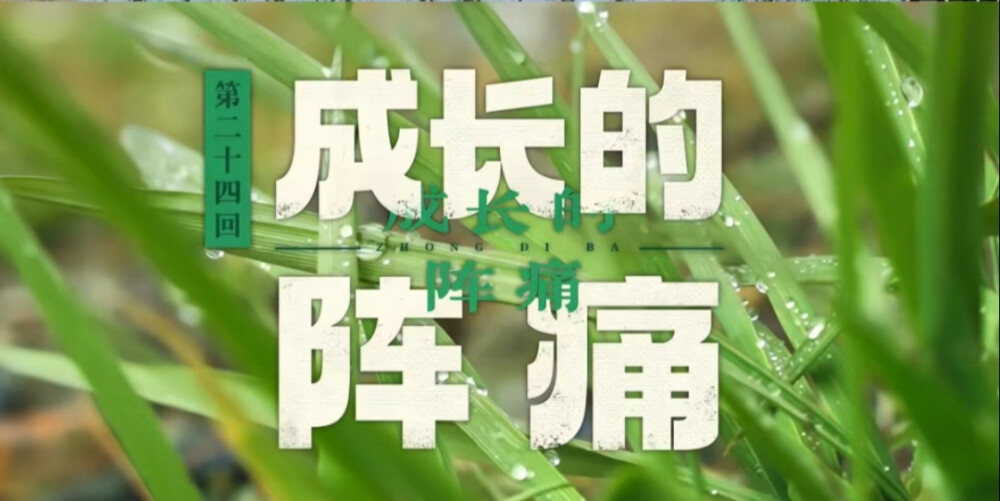 种地吧