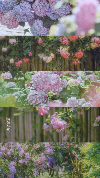 鲜花拼接壁纸