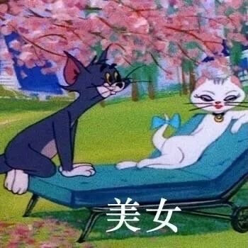 【猫和老鼠表情包】