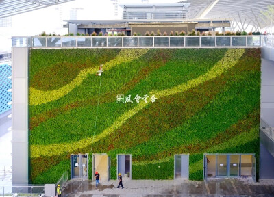 深圳国际会展中心一期项目是全球最大的会展中心，采用了52项全球领先的绿建技术。我司为其设计并打造了8面垂直绿化墙，总面积约5000平方米，使用了模块式垂直绿化技术“绿色之墙”。该技术有多种特点，如种植穴倾斜…