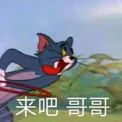 【猫和老鼠表情包】