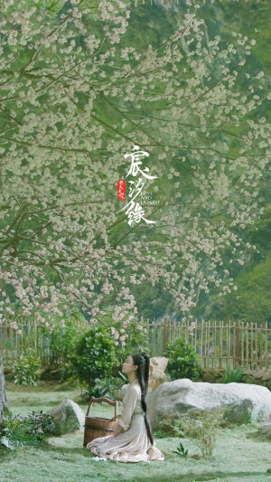 影视剧场景