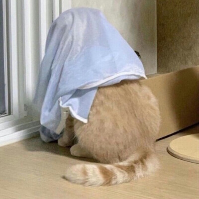 很久以前有个野怪脾气特别暴躁，所以它吞噬了一千颗月亮因为没有人喜欢它。
有一天它遇到了最后一颗月亮，野怪说：嘿给我个不吃你的理由。
月亮说：因为我的名字叫月来月。
野怪说：你叫什么名字和我吃你有关系吗？
…