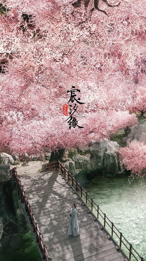 影视剧场景