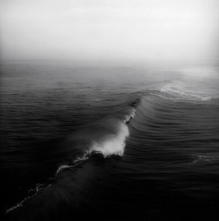 总是来不及爱 就已经深陷 你的名字被我咬出血