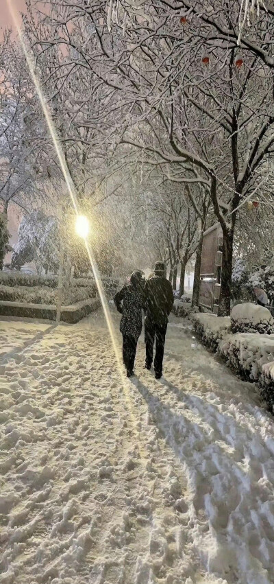 雪天壁纸