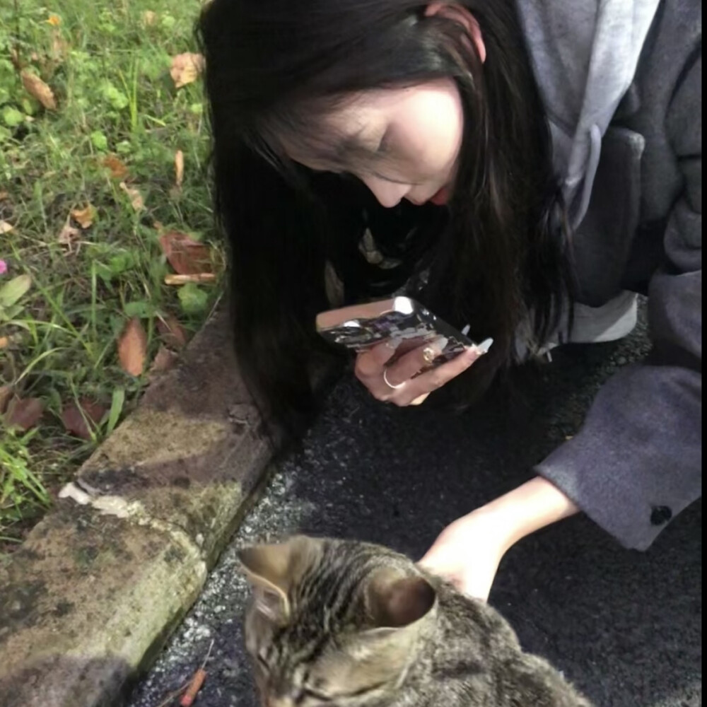 天鹅