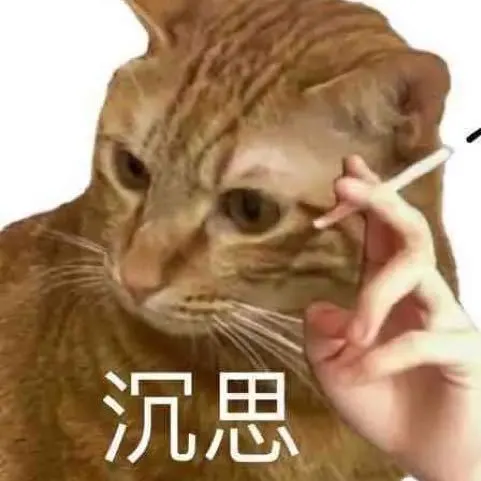 猫猫狗狗
