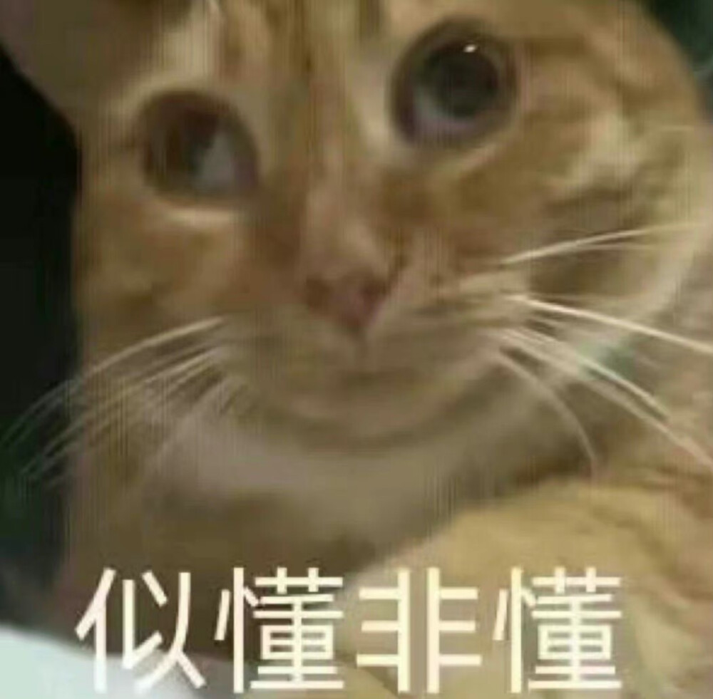 表情包