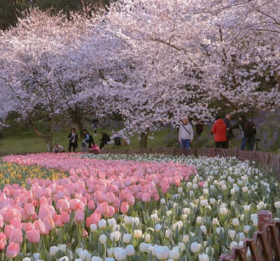 粉色系·朋友圈背景图