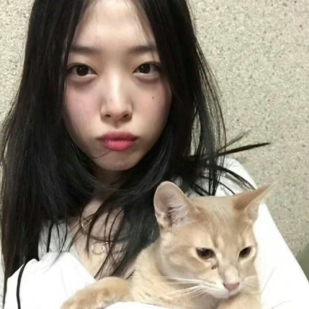 崔雪莉 の 头像