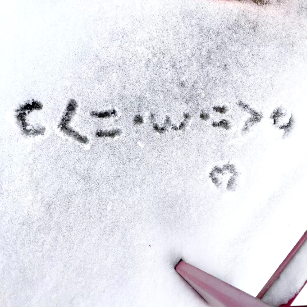 白色 冬天 背景图