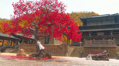 橙光素材 古风 剧情 空镜 小说 写信 蜡烛 主角童年 角色素材 荡秋千 红衣女主