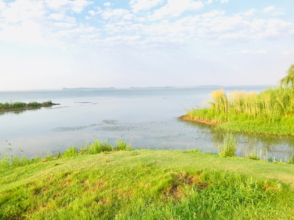 白龟湖国家湿地公园图片