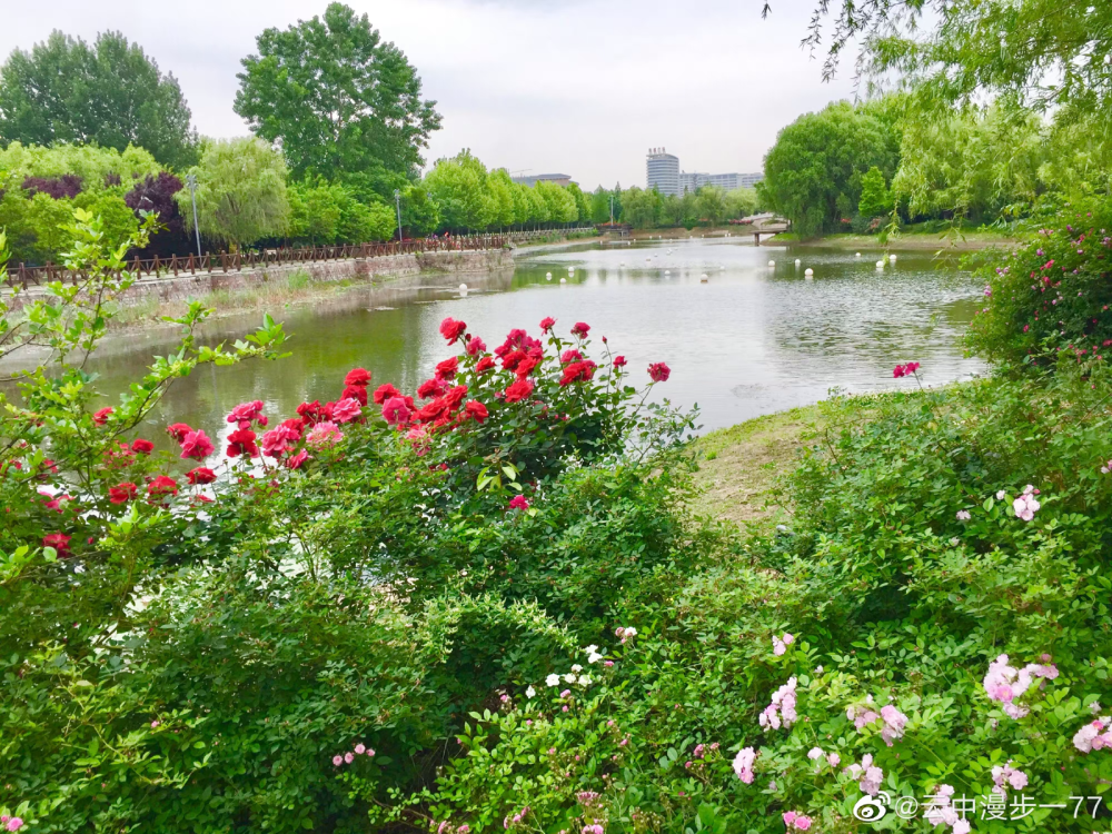 河南省平顶山市白龟湖国家湿地公园