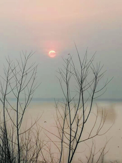 河南省平顶山市白龟湖国家湿地公园 壁纸 美图