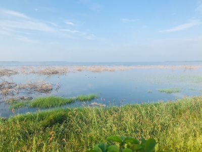 河南省平顶山市白龟湖国家湿地公园 壁纸 美图