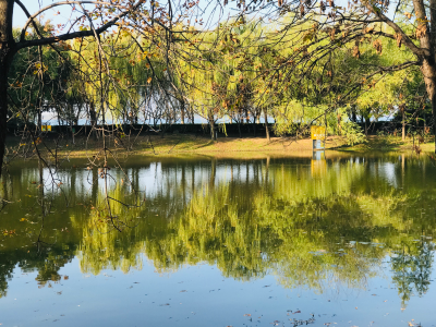 河南省平顶山市白龟湖国家湿地公园 壁纸 美图