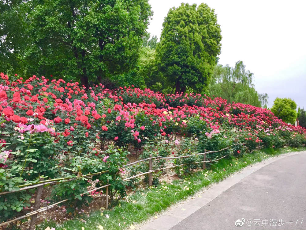 河南省平顶山市白龟湖国家湿地公园