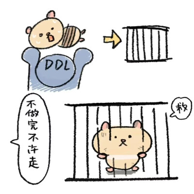 表情